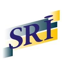 SAINT-REMY INDUSTRIE S.A.