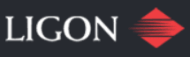 Ligon Permanent Mold Group