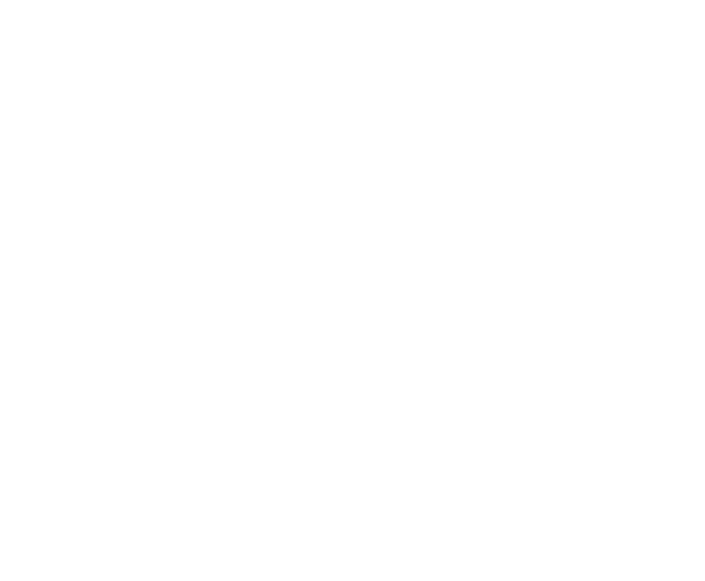Eck Plastic Arts