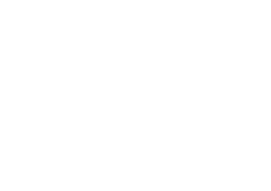 Sujan Industries