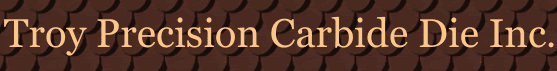 TROY PRECISION CARBIDE DIE INC TROY PRECISION CARBIDE DIE INC